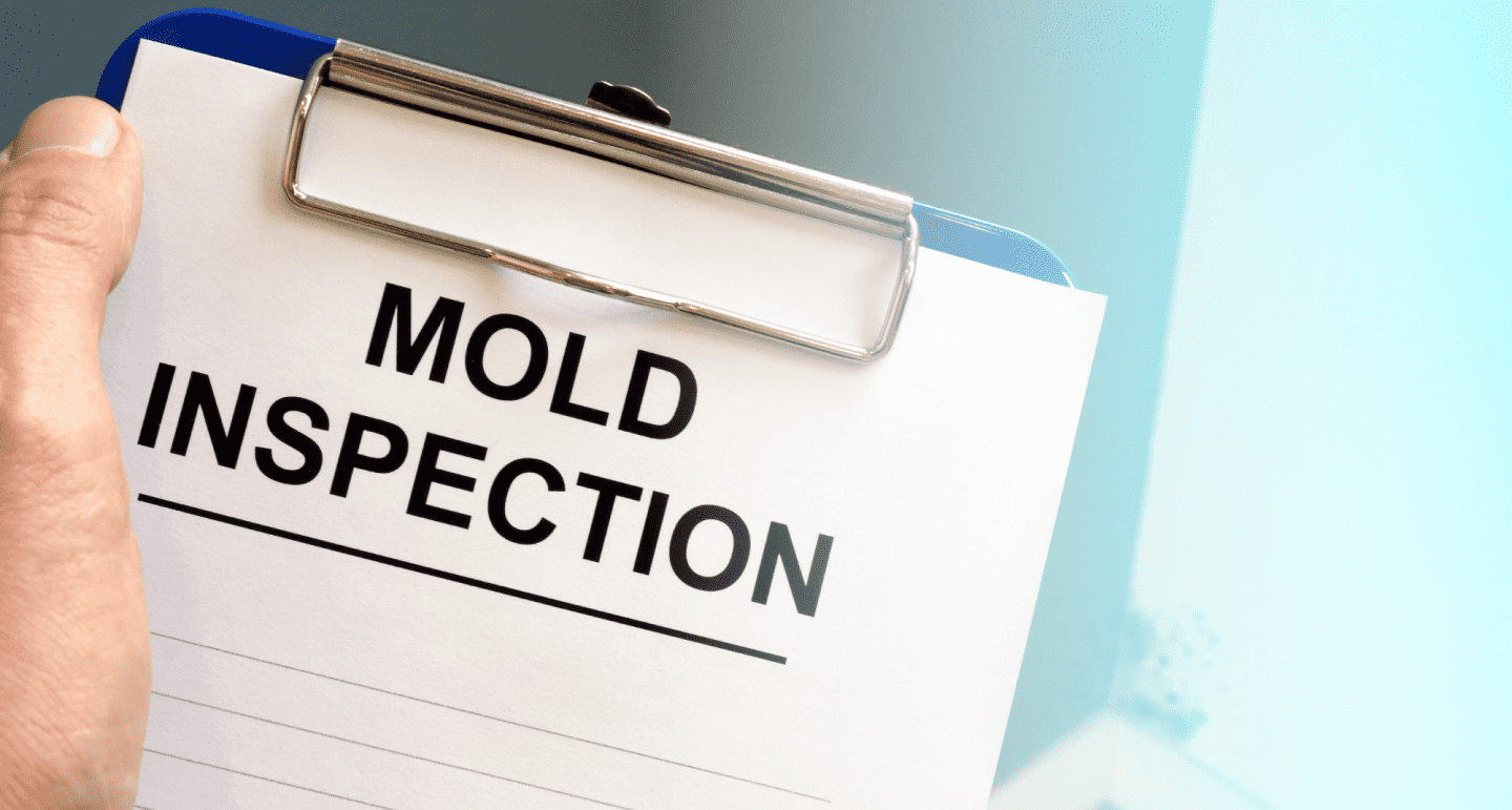 mold inspection notes closeup