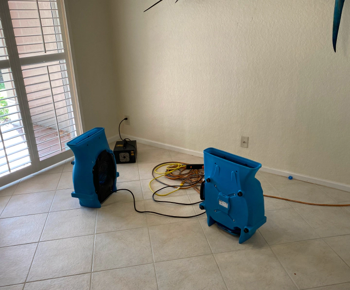 water damage mitigation in a living room